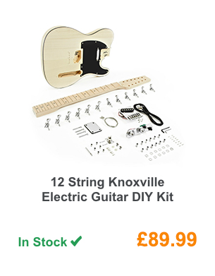 12 String Knoxville Electric Guitar DIY Kit.