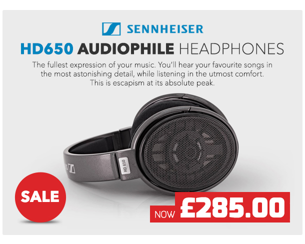 Sennheiser HD 650 Audiophile Open Dynamic Headphones.